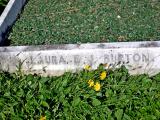 image of grave number 738862
